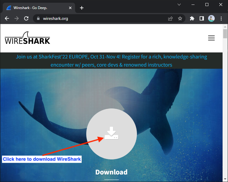 Wireshark Download