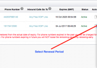 Phone Number Renewal Period
